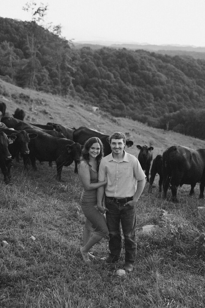 Tennessee elopement photographer captures man and woman standing together in front of cows